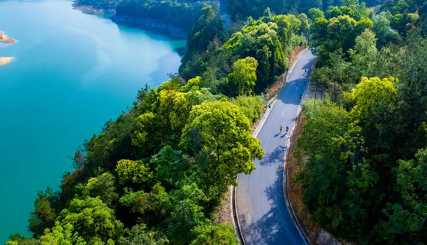 1731577027473005051.jpg 7_副本.jpg