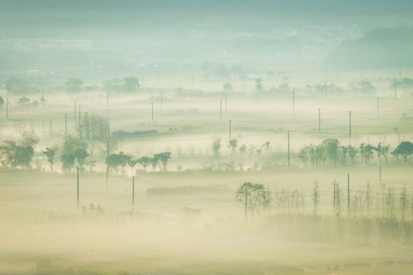 1733388758803049928.jpg 2_副本.jpg