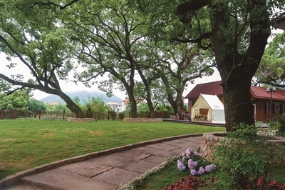 1709026245837060090.jpg 盐仓古樟驿.jpg