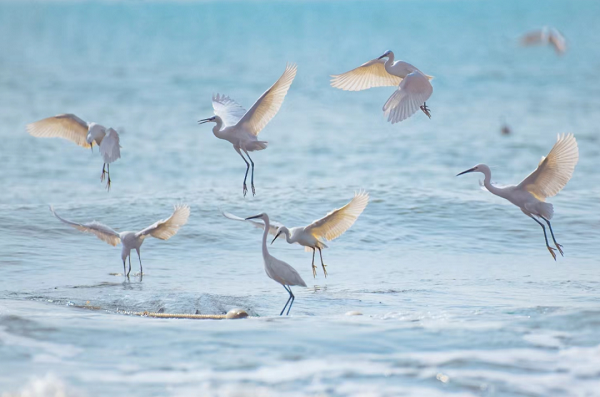 1734601882330043819.png 640.png