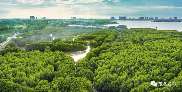 1734601893020038720.png 图片2.png