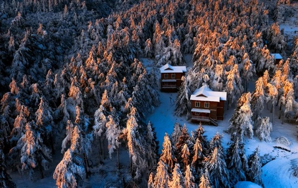 1735204254189087947.jpg 640 (4).jpg