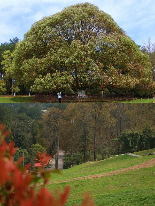 1733279448432002375.jpg 640.jpg