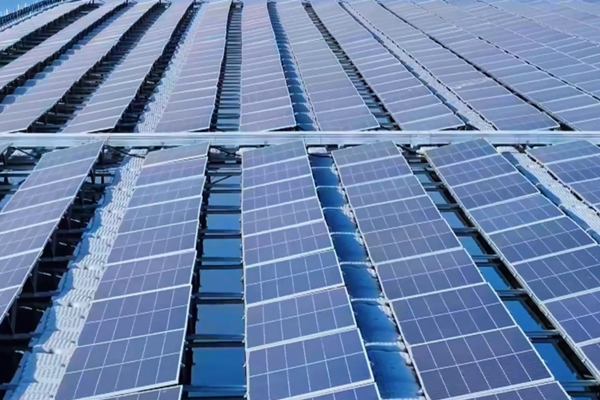 1735805958751078286.png 济宁英文网1_600-400.png