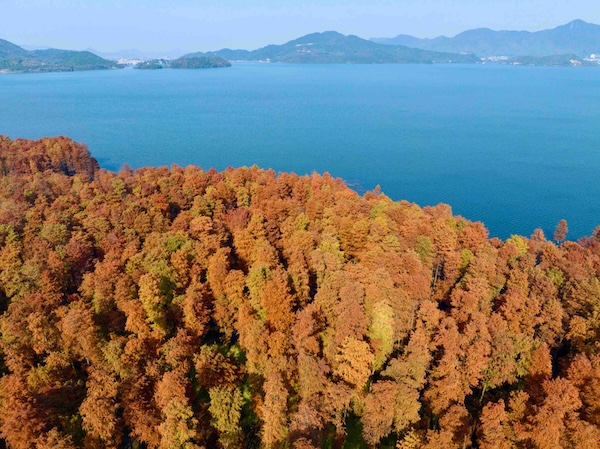 1734428699008036870.jpg f51fb7e9-44e6-4b42-bf70-fd34b97f6412.jpg