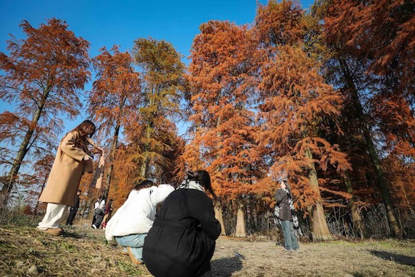 1734428710337082663.jpg aa5c20ea-80fa-4fd4-8f2d-9dae76e0f9ed.jpg