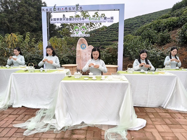 1735809038063064113.jpg 1 - 副本.jpg