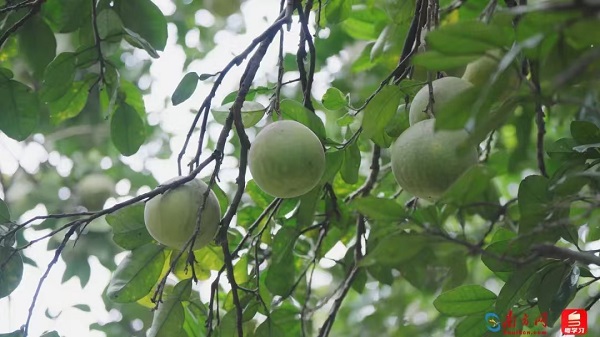 1735290341402058706.jpg 微信图片_20241227113014.jpg