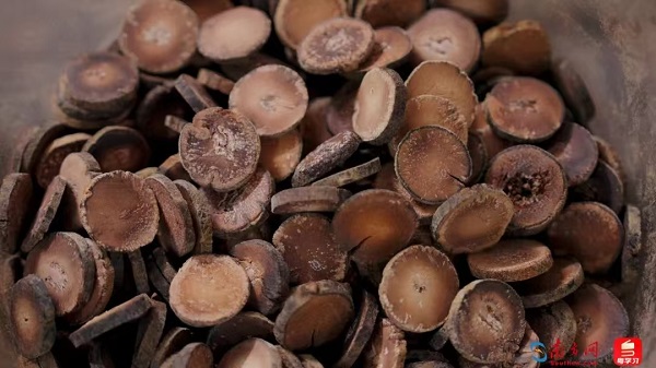 1735290348890029006.jpg 微信图片_20241227113021.jpg