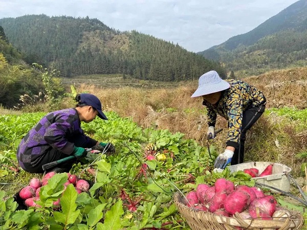 1736474980426090232.jpg 12.jpg