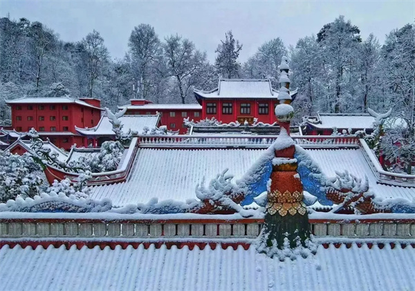 1736326159417060104.jpg 咋个耍3.jpg