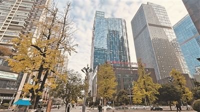 1736847550596084748.jpg gyrb117691_jsb_1736268803287_b.jpg