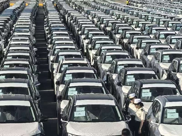 1738744892476048588.jpg 8d400144-f187-49ba-a920-ff1c2a4ca588.jpg