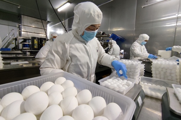 1738916879990022930.jpg 3b19f98d-cee6-45fb-b6a2-1b4fad9c2656size_w_3264_h_2448.jpg