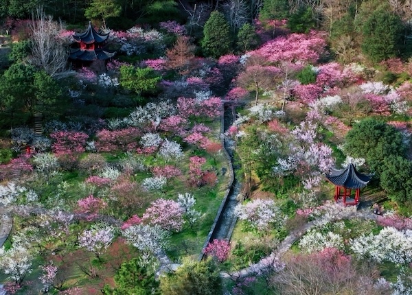 1740732087120044508.jpg 6e77e681-d681-4048-93de-e41e4c2f9793.jpg