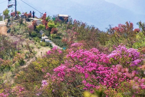 1740732105719028322.jpg 558ec0d8-8e1b-4c98-93e5-2383a9f413ed.jpg