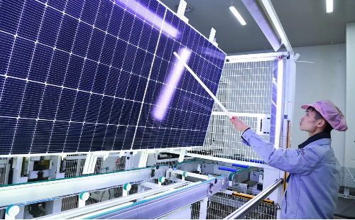 1739450784326072893.jpg Fact.jpg