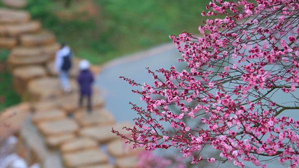 1740466462125046302.png 3.png