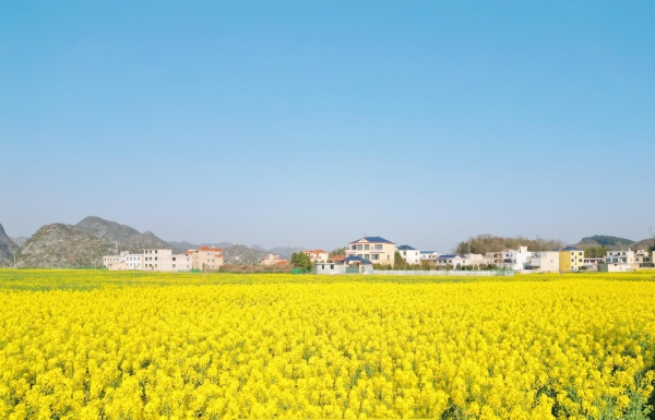 1740120088824024329.jpg 2_副本.jpg