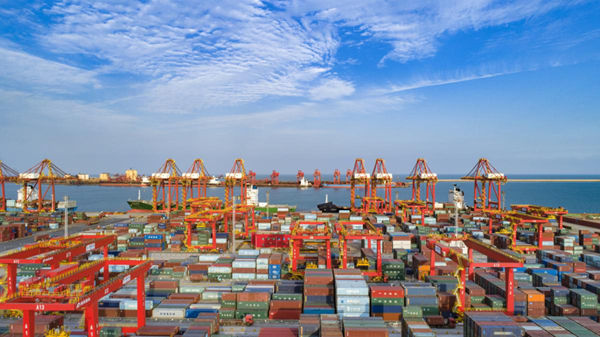 1741399142979073116.jpg 山东4_600.jpg