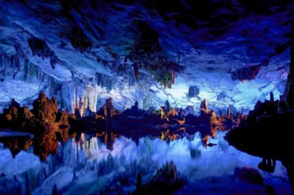 1740730458785071904.png reed_副本.png