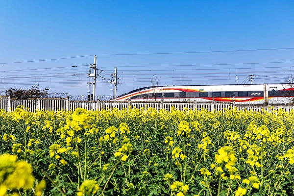 1742189870130062902.jpeg 1 - 副本.jpeg