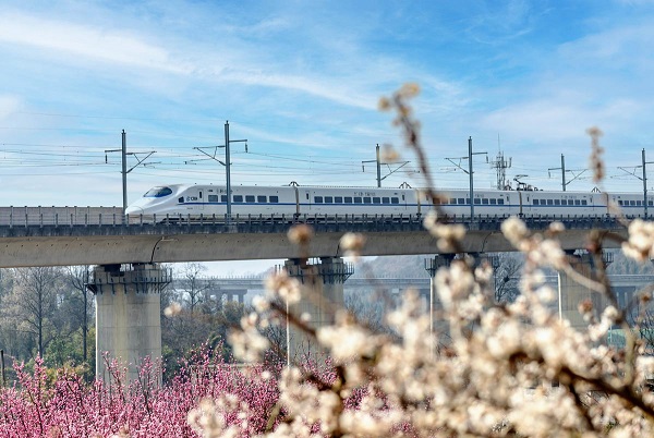 1742189881231092410.jpeg 2 - 副本.jpeg