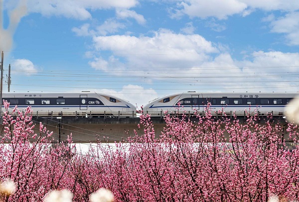 1742189890657076472.jpeg 3 - 副本.jpeg