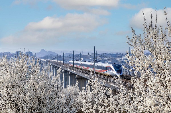 1742189898215020589.jpeg 4 - 副本.jpeg