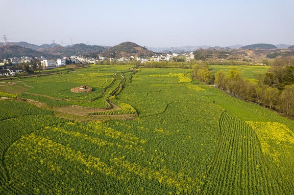 1741915776128020970.jpeg 1 - 副本 (2).jpeg