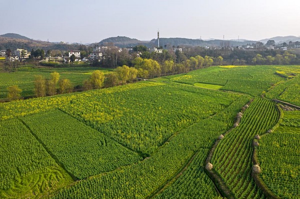 1741915790758036014.jpeg 2 - 副本.jpeg