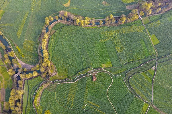 1741915798208085648.jpeg 3 - 副本.jpeg