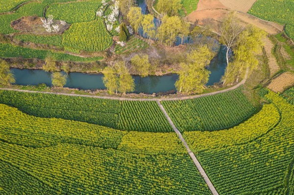 1741915806042003734.jpeg 4 - 副本.jpeg