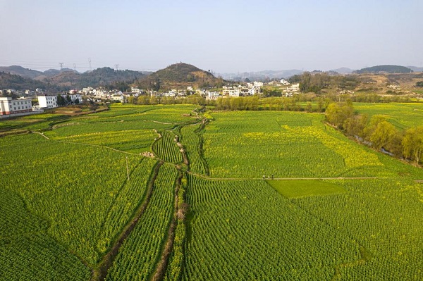 1741915814011088662.jpeg 5 - 副本.jpeg