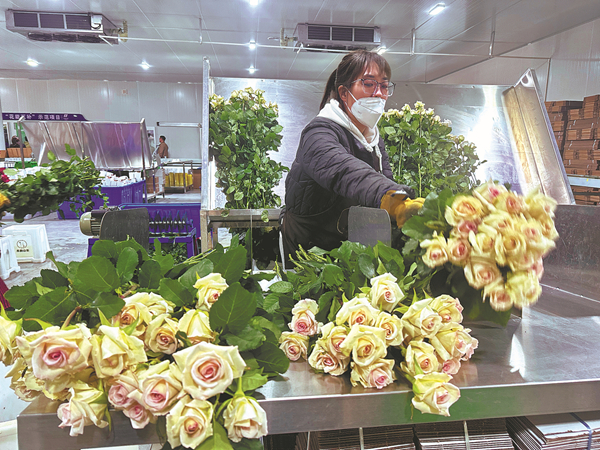 1743660246085040647.jpg 山东3_600.jpg