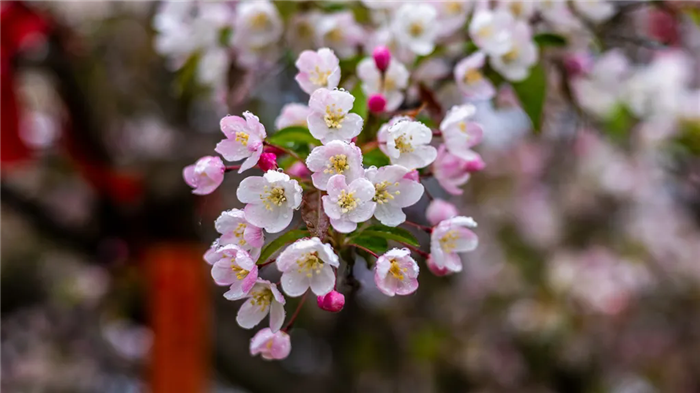 1742796830664057968.png 24-TA-1.webp_副本.png