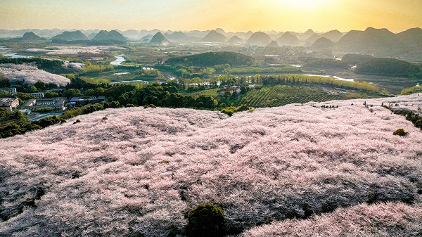 1742887760253017026.jpg DJI_20240325181138_0110_D.jpg