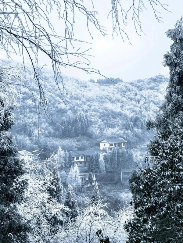 1741177131316038062.jpg 云雾山2.jpg