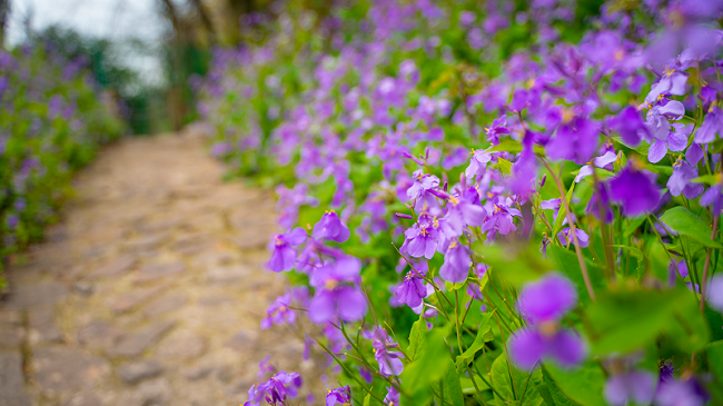 1744092937088056466.png 5800cc182259413880362bfed56e861c.png