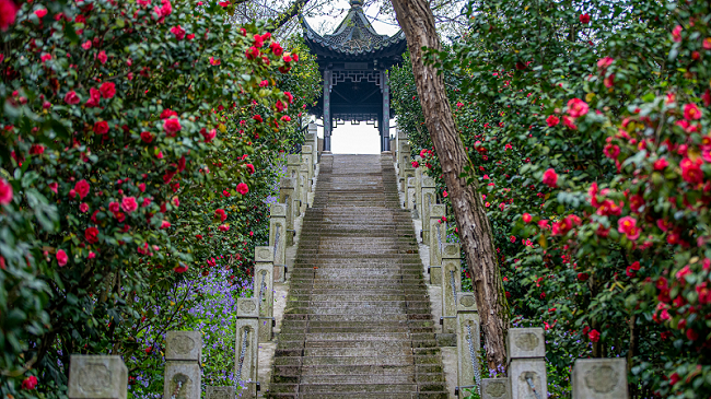 1744092944941096354.png e61c3b61b8c748e18fd0bcbbc281ce3d.png