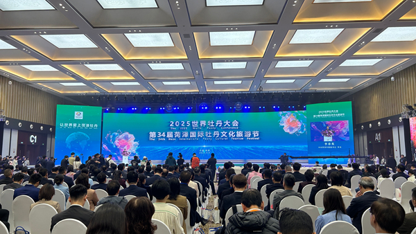 1744182303649055285.jpg 山东1-1_600.jpg