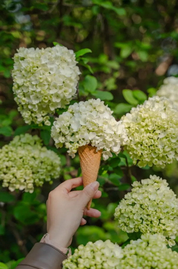 1744620869269059132.jpg 微信截图_20250414075920.jpg