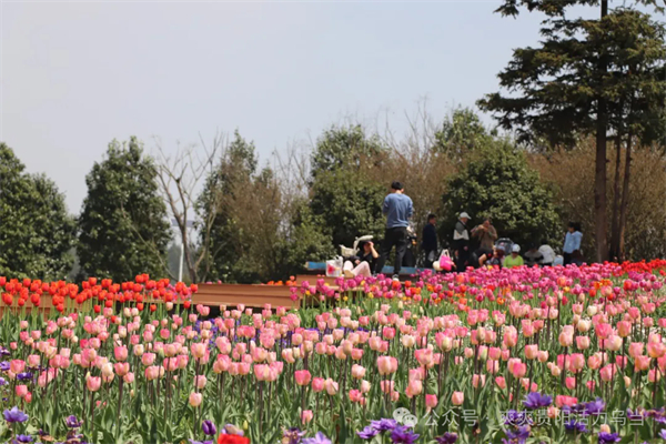 1744362910484059473.jpg 乌当.jpg