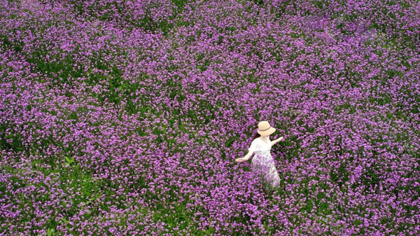 1744628547400092950.jpg 贵阳的春天开挂了3.jpg