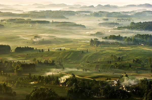 1744101982835080106.jpg 4 (2).jpg