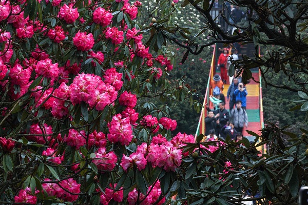 1745227834596043665.jpeg 1.jpeg