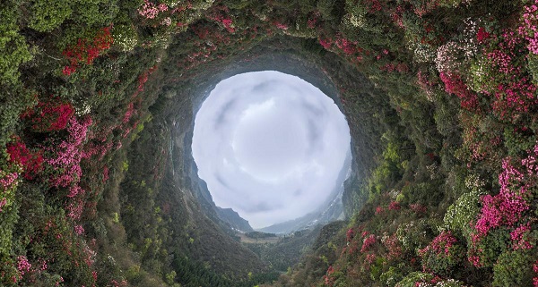 1745227855641034631.jpeg 2.jpeg