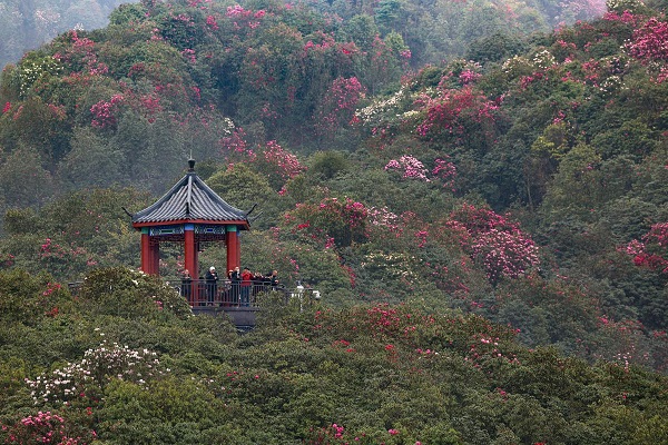 1745227862410080084.jpeg 3.jpeg