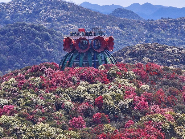 1745227869876014602.jpeg 4.jpeg