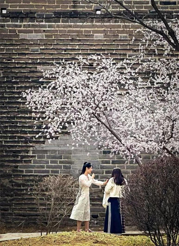 1744950189846061986.jpg 图片1.jpg